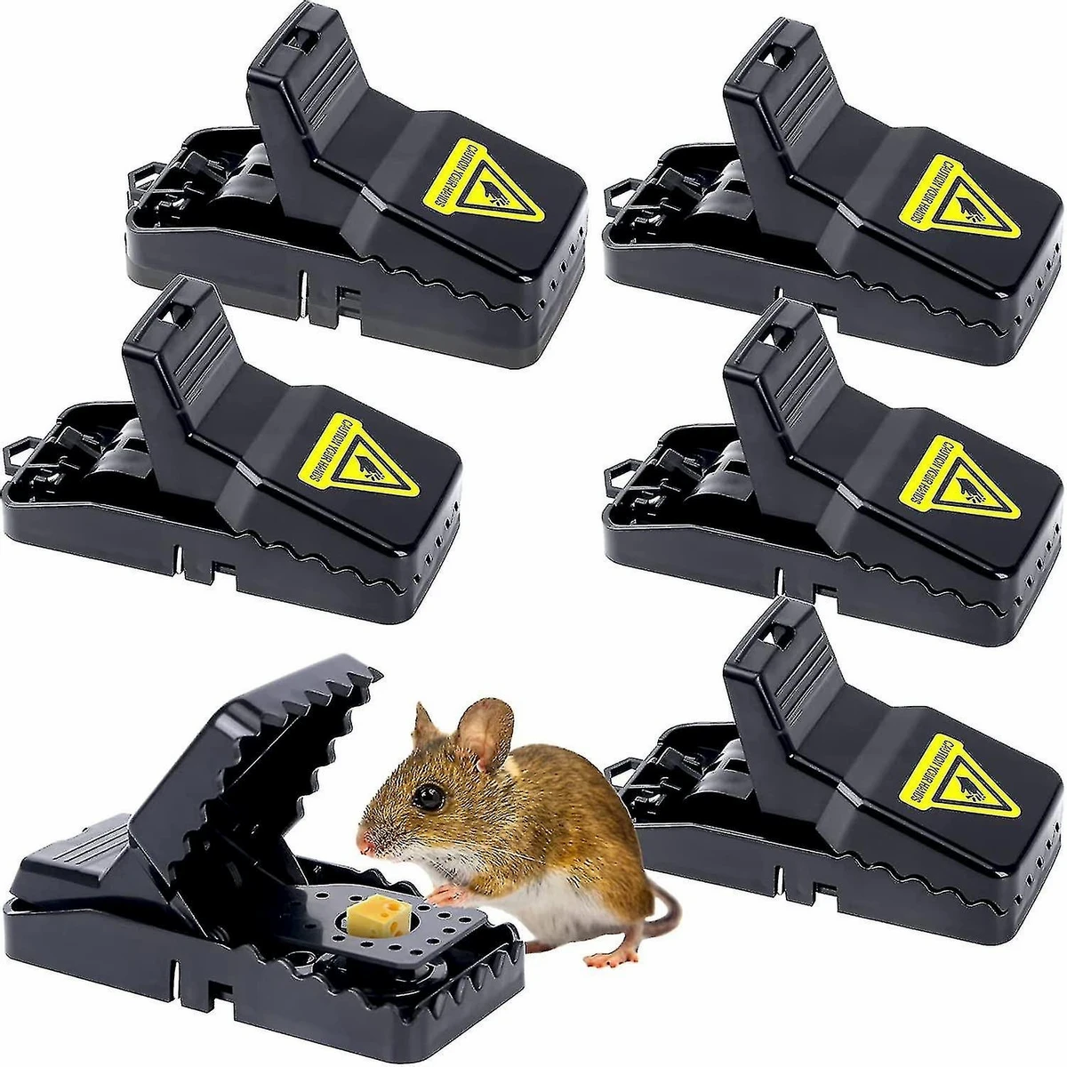 Mouse Trap (1 Paces )